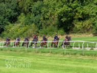 EL130924-19 - Emma Lavelle Stable Visit